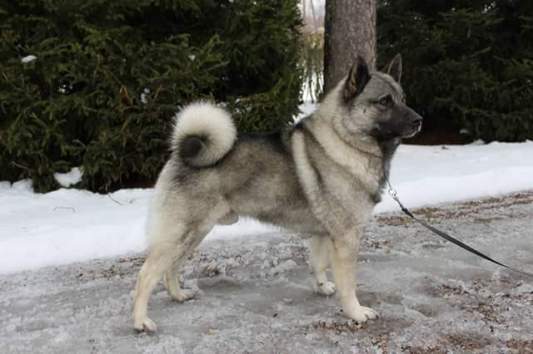 FB_IMG_1464767212443